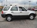 Satin Silver Metallic - Escape XLS V6 4WD Photo No. 6