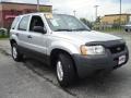 Satin Silver Metallic - Escape XLS V6 4WD Photo No. 7