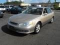 Cashmere Beige Metallic - ES 300 Photo No. 3