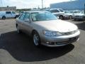 Cashmere Beige Metallic - ES 300 Photo No. 6