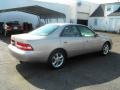 Cashmere Beige Metallic - ES 300 Photo No. 9