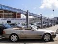 Smoke Silver Metallic - SL 500 Roadster Photo No. 11