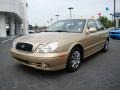 2004 Desert Sand Hyundai Sonata   photo #6