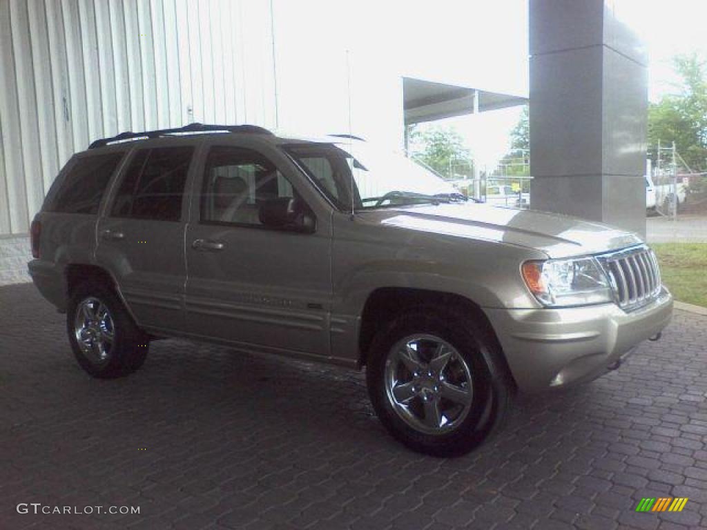 2004 Grand Cherokee Limited 4x4 - Light Pewter Metallic / Taupe photo #4