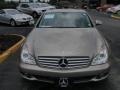 2006 Pewter Metallic Mercedes-Benz CLS 500  photo #2