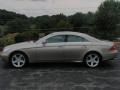 Pewter Metallic - CLS 500 Photo No. 6