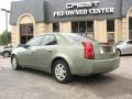 Silver Green - CTS Sedan Photo No. 5