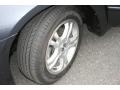 2006 Graphite Pearl Honda Accord EX-L Sedan  photo #21