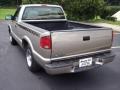 2001 Light Pewter Metallic Chevrolet S10 LS Regular Cab  photo #6