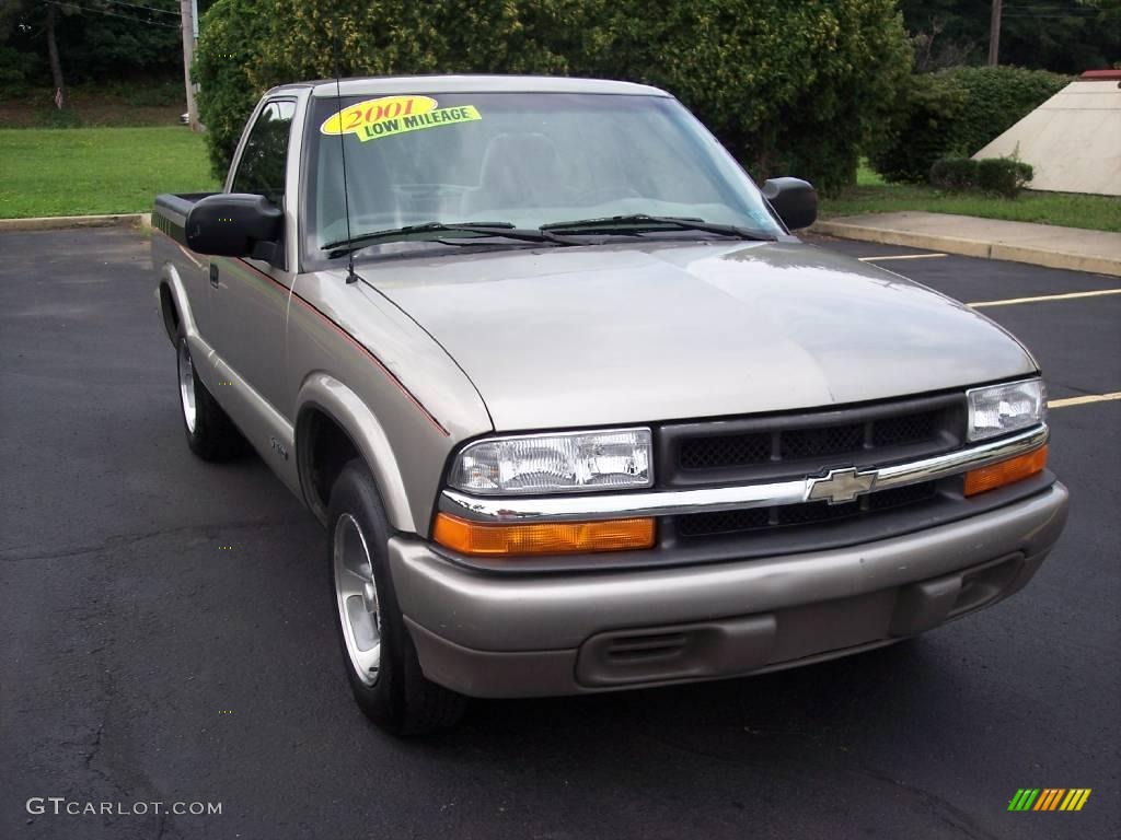 2001 S10 LS Regular Cab - Light Pewter Metallic / Medium Gray photo #12