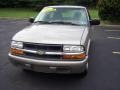 2001 Light Pewter Metallic Chevrolet S10 LS Regular Cab  photo #13