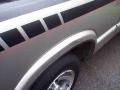 2001 Light Pewter Metallic Chevrolet S10 LS Regular Cab  photo #38