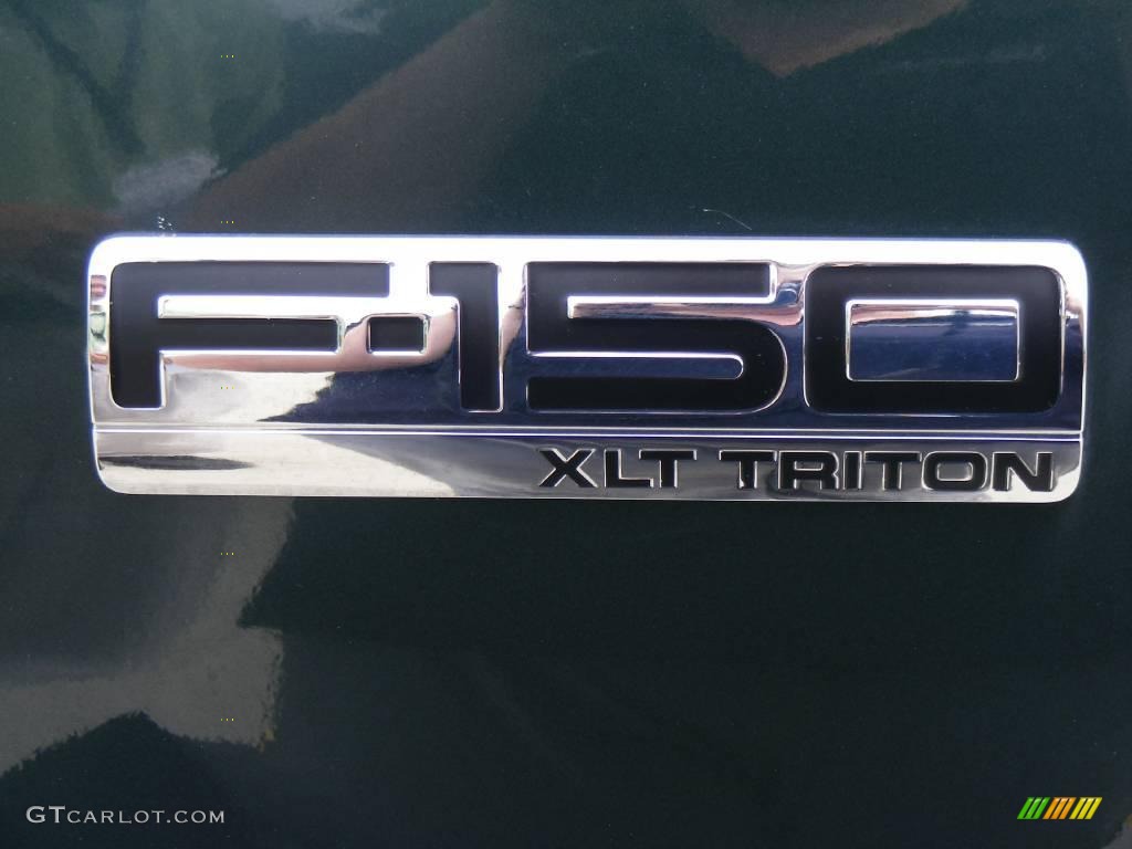 2006 F150 XLT SuperCrew - Aspen Green Metallic / Tan photo #14