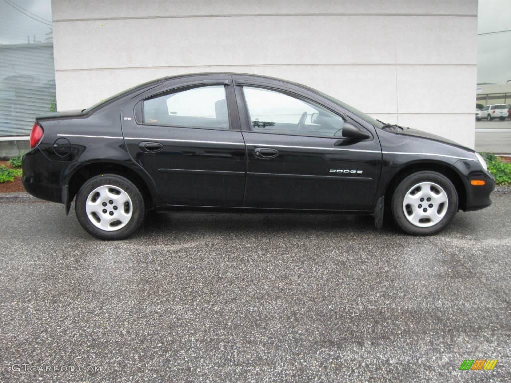 2001 Neon SE - Black / Dark Slate Gray photo #2