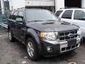 2008 Black Pearl Slate Metallic Ford Escape Limited 4WD  photo #6