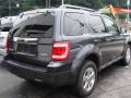 2008 Black Pearl Slate Metallic Ford Escape Limited 4WD  photo #7