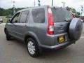 2005 Pewter Pearl Honda CR-V Special Edition 4WD  photo #3