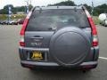 2005 Pewter Pearl Honda CR-V Special Edition 4WD  photo #4