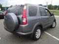 2005 Pewter Pearl Honda CR-V Special Edition 4WD  photo #5