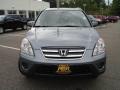 2005 Pewter Pearl Honda CR-V Special Edition 4WD  photo #8