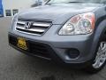 2005 Pewter Pearl Honda CR-V Special Edition 4WD  photo #9