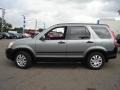 Pewter Pearl - CR-V EX 4WD Photo No. 2