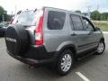 Pewter Pearl - CR-V EX 4WD Photo No. 5