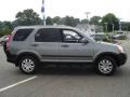 Pewter Pearl - CR-V EX 4WD Photo No. 6