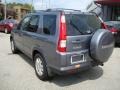 2006 Pewter Pearl Honda CR-V SE 4WD  photo #2