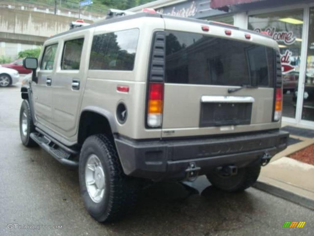 2003 H2 SUV - Pewter Metallic / Wheat photo #2