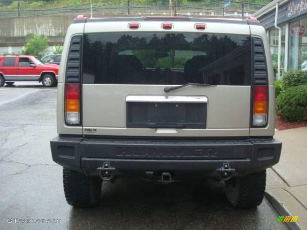 2003 H2 SUV - Pewter Metallic / Wheat photo #3