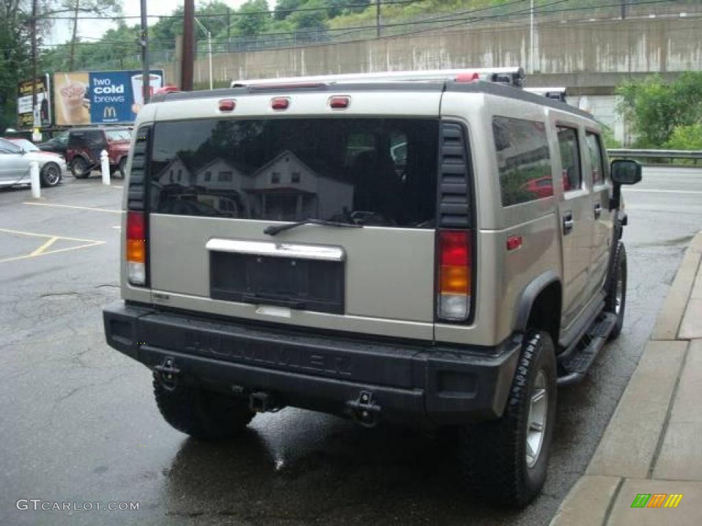 2003 H2 SUV - Pewter Metallic / Wheat photo #4