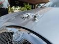 2008 Liquid Silver Metallic Jaguar S-Type 3.0  photo #11