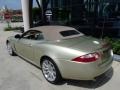 Winter Gold Metallic - XK XK8 Convertible Photo No. 16