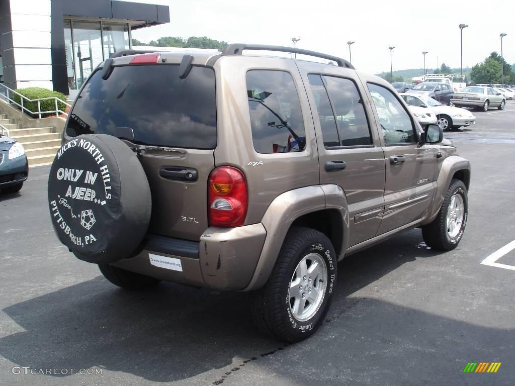 2002 Liberty Limited 4x4 - Woodland Brown Satin Glow / Dark Slate Gray photo #2