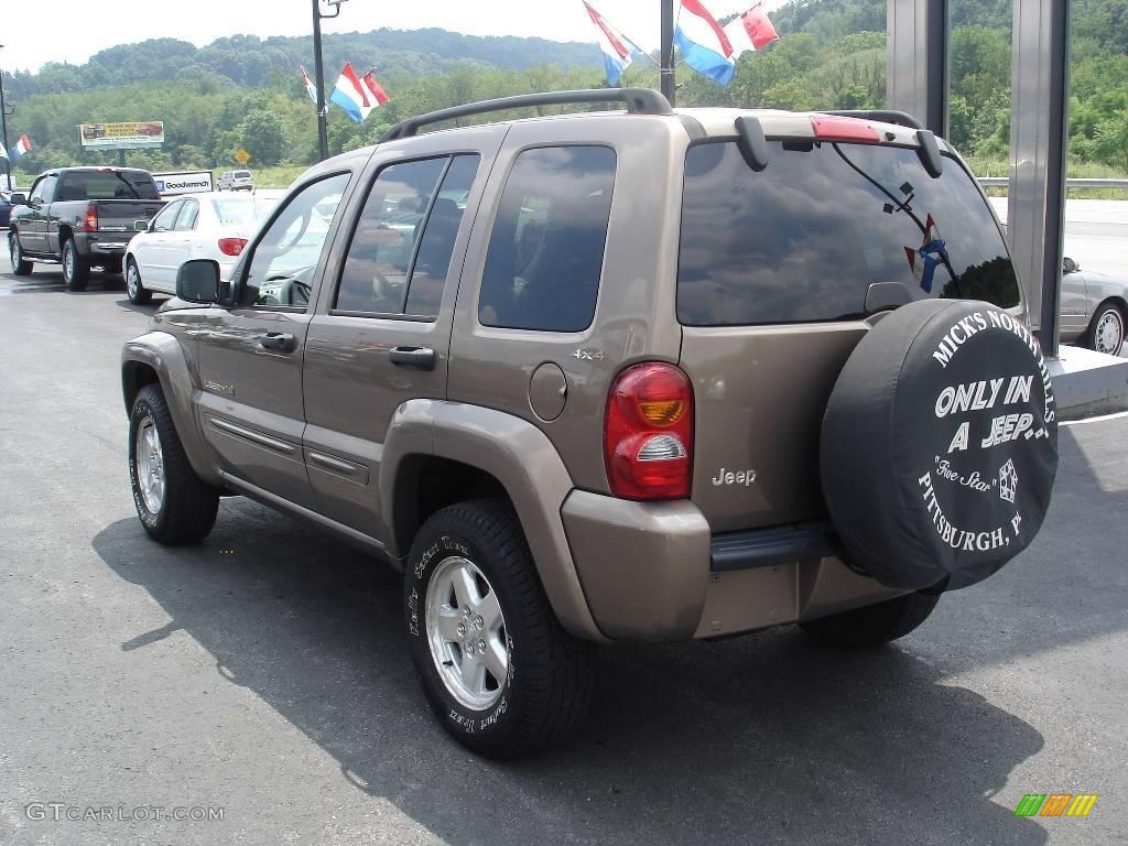 2002 Liberty Limited 4x4 - Woodland Brown Satin Glow / Dark Slate Gray photo #4