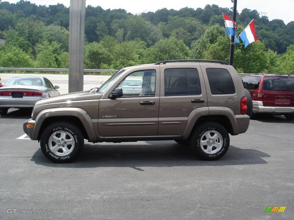 2002 Liberty Limited 4x4 - Woodland Brown Satin Glow / Dark Slate Gray photo #5