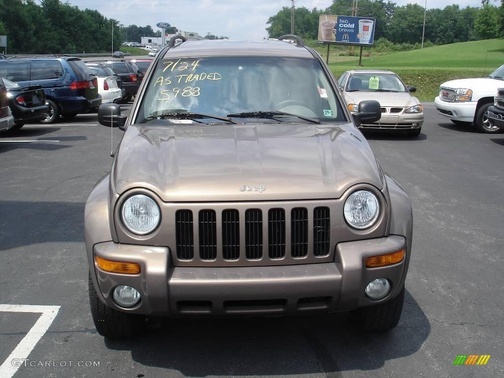 2002 Liberty Limited 4x4 - Woodland Brown Satin Glow / Dark Slate Gray photo #15