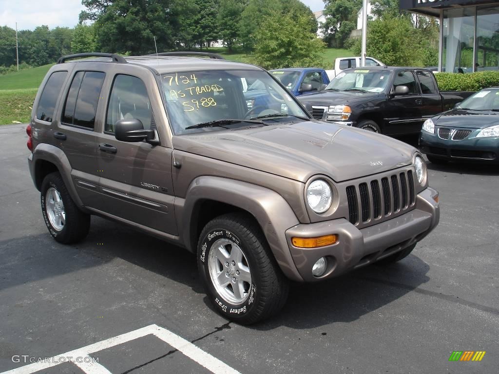 2002 Liberty Limited 4x4 - Woodland Brown Satin Glow / Dark Slate Gray photo #16
