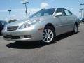 Millennium Silver Metallic - ES 300 Photo No. 1