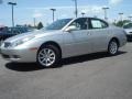 Millennium Silver Metallic - ES 300 Photo No. 2