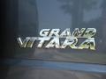 2008 Azure Grey Metallic Suzuki Grand Vitara Luxury  photo #9