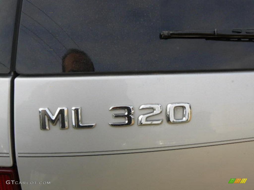 2000 ML 320 4Matic - Brilliant Silver Metallic / Ash photo #7