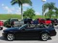 Black - Mustang V6 Deluxe Convertible Photo No. 6