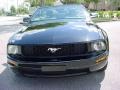 Black - Mustang V6 Deluxe Convertible Photo No. 8