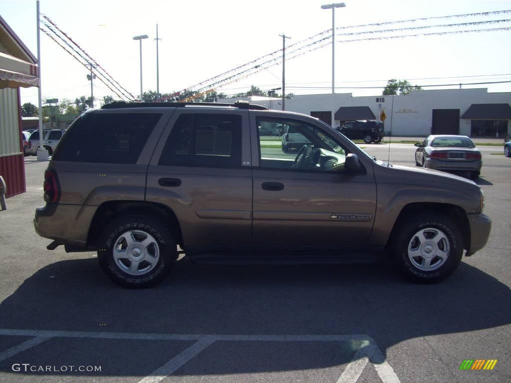 2002 TrailBlazer LS 4x4 - Sandalwood Metallic / Medium Oak photo #6