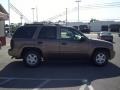 Sandalwood Metallic - TrailBlazer LS 4x4 Photo No. 6