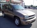 Sandalwood Metallic - TrailBlazer LS 4x4 Photo No. 7