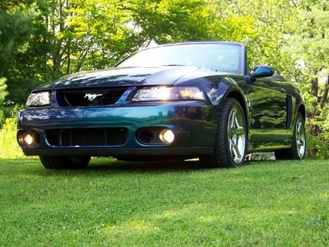 2004 Ford Mustang Cobra Convertible Data, Info and Specs