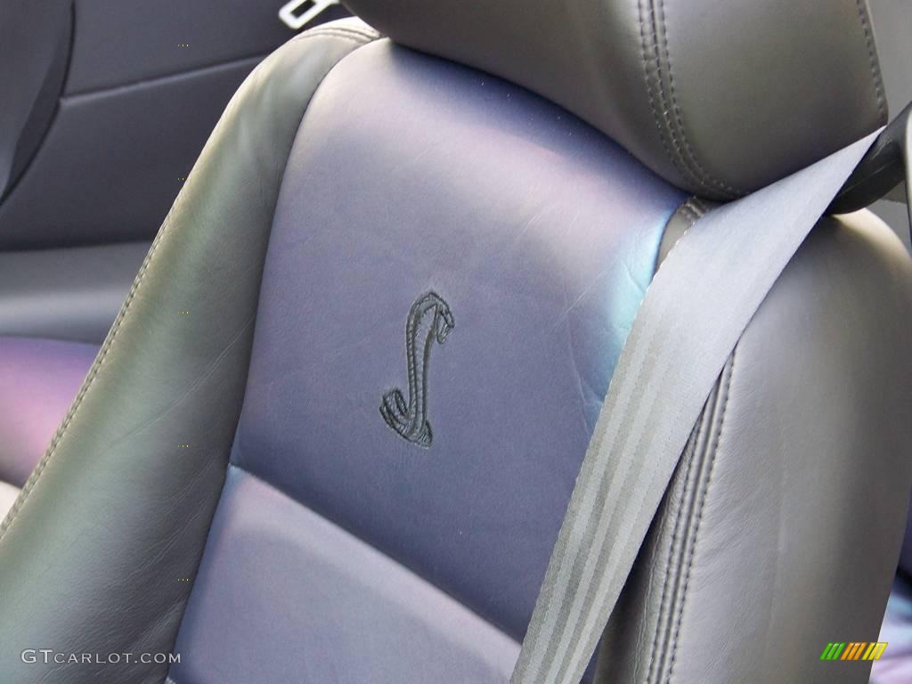 Dark Charcoal/Mystichrome Interior 2004 Ford Mustang Cobra Convertible Photo #15440015
